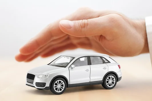 Garantie Garage Excellium Easy 12 Mois